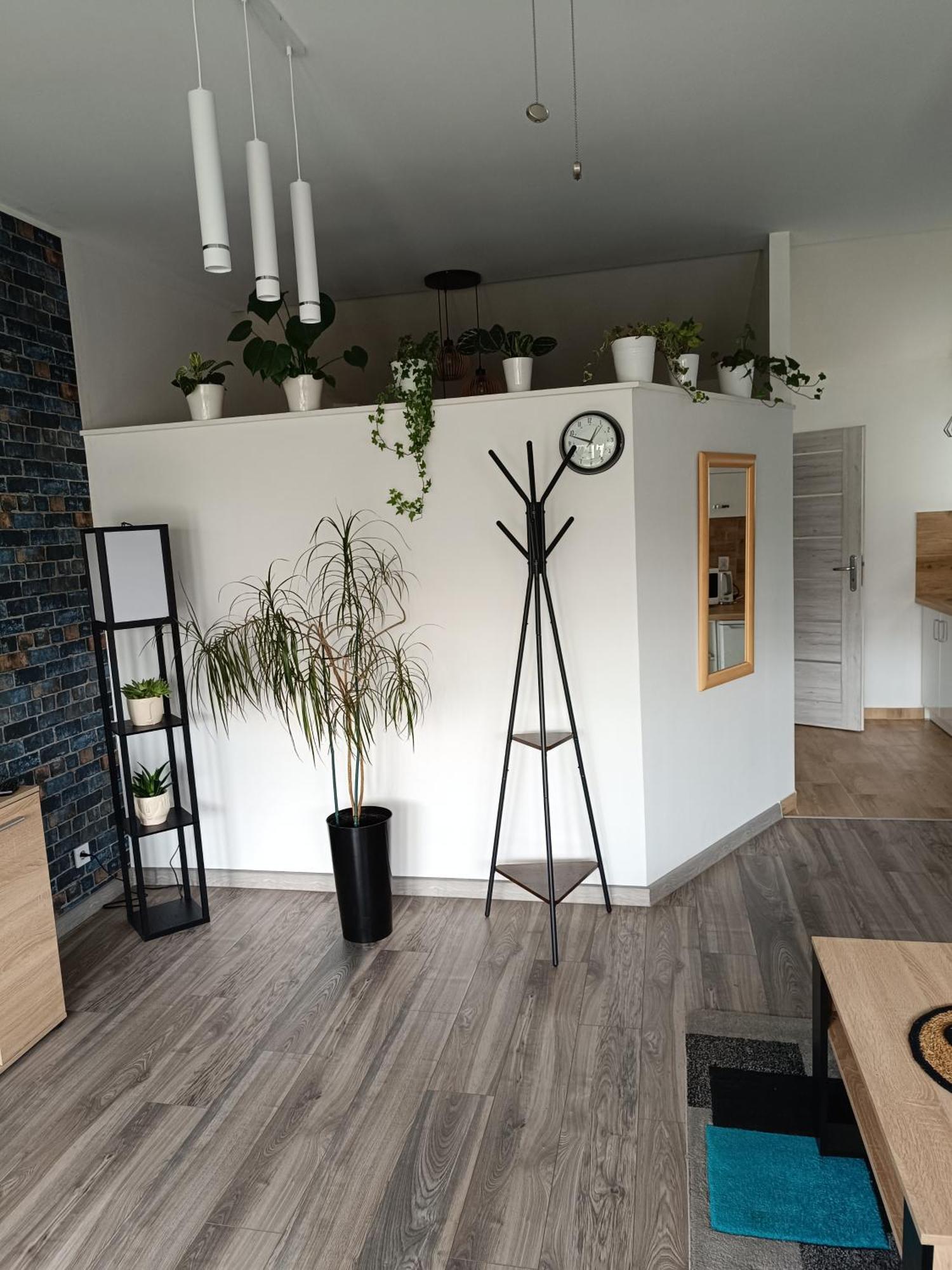 Apartament przy Białym Koniu Koszalin Zewnętrze zdjęcie